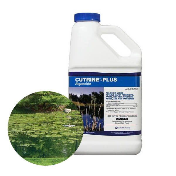 Cutrine Plus - algaecide that controls most types of algae