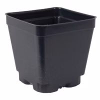 Square Pot