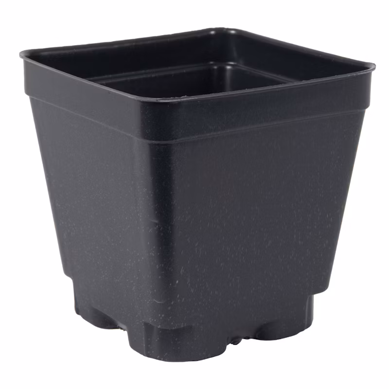 Square pot Square Pot